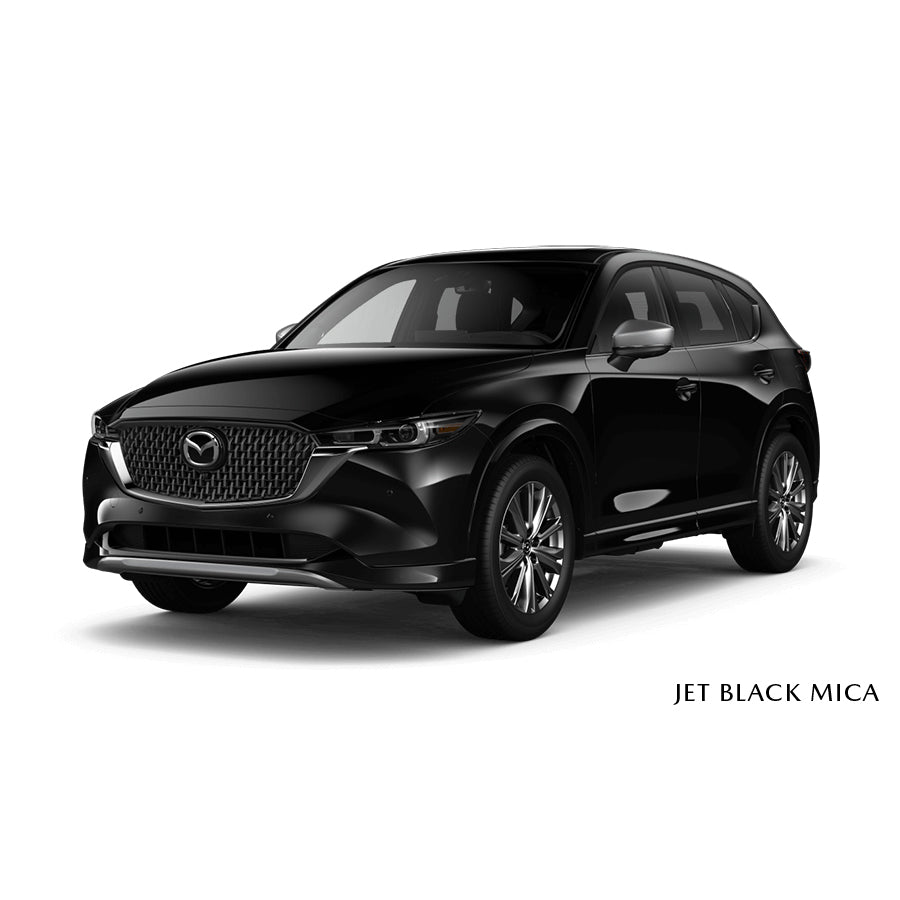 Jet Black Mica - 41W Premium Touch-Up Paint Pen Colour