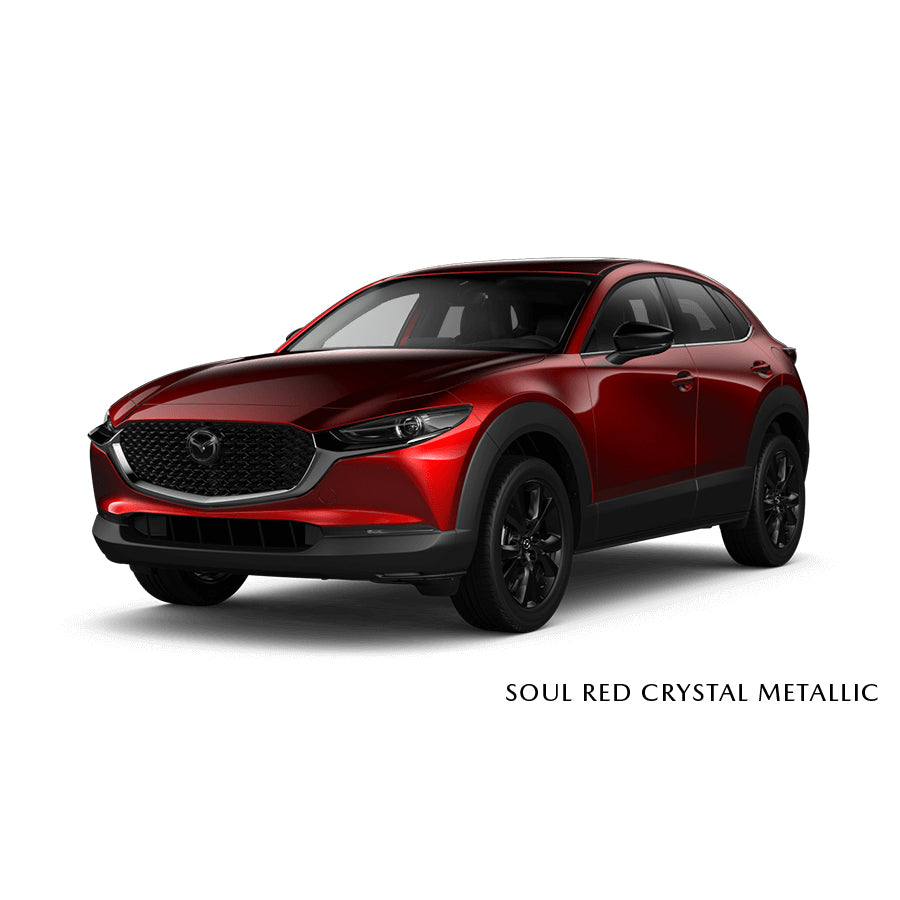Soul Red Crystal Metallic (46V) Premium Touch-Up Paint Pen Colour