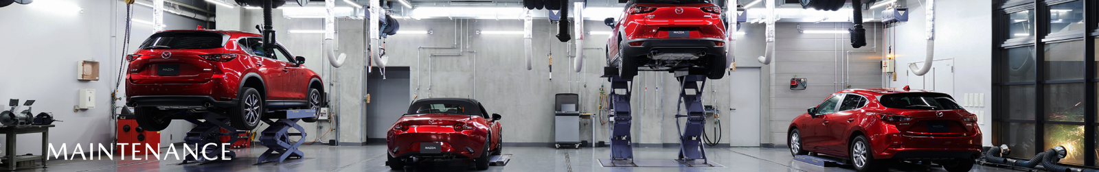 Maintenance