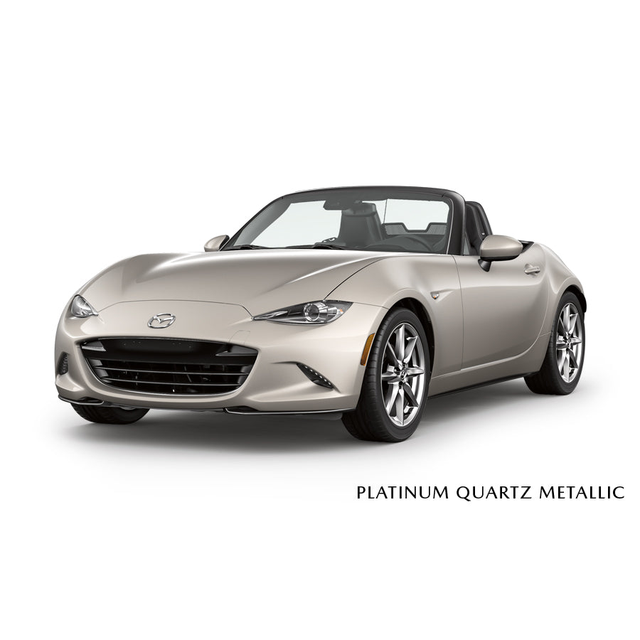 Platinum Quartz Metallic [47S] Premium Touch-Up Paint Pen Colour