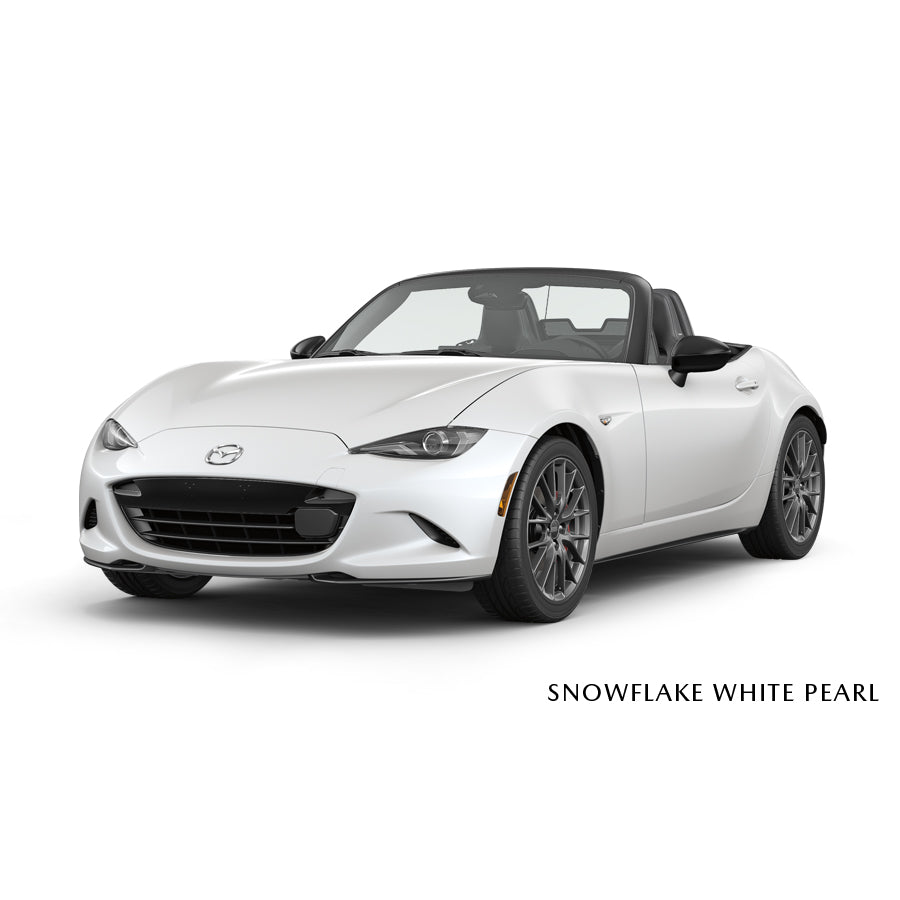 Snowflake White Pearl [25D] Premium Touch-Up Paint Pen Colour