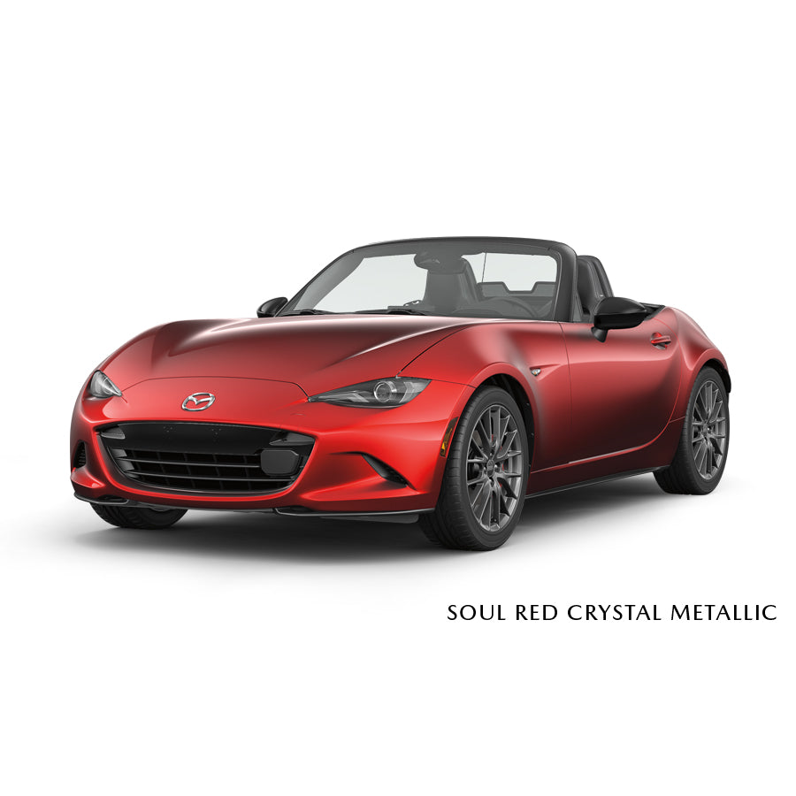 Soul Red Crystal Metallic [46V] Premium Touch-Up Paint Pen Colour