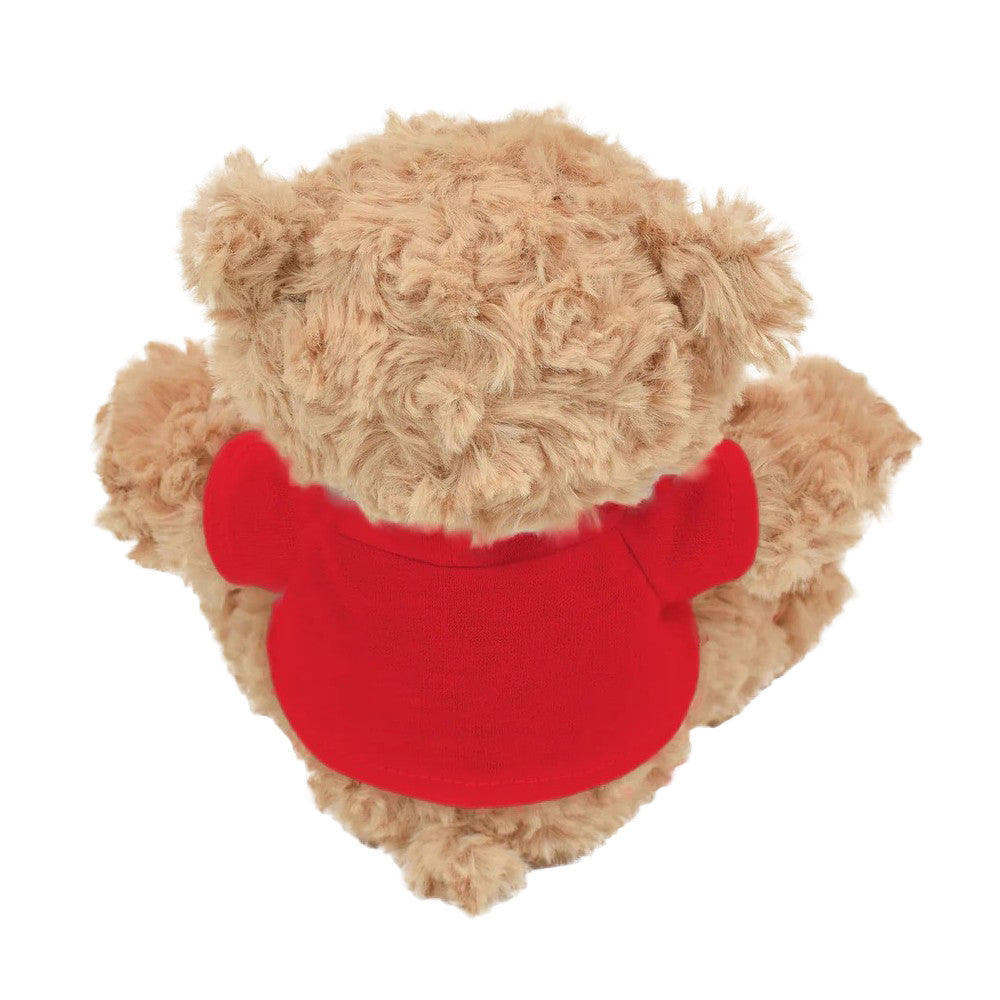 Teddy bear wearing a red shirt on a white background