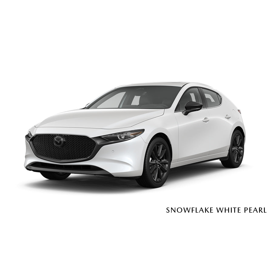 Touch-Up Paint Pen | Mazda3 Hatchback (2019-2026)