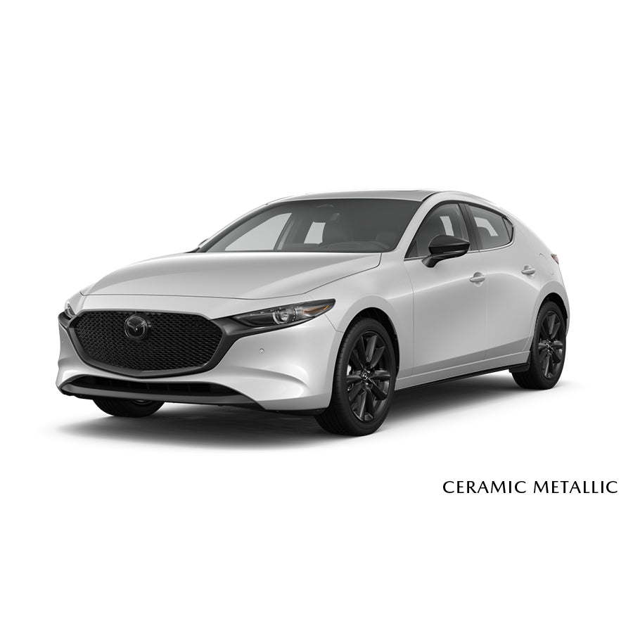 Touch-Up Paint Pen | Mazda3 Hatchback (2019-2026)