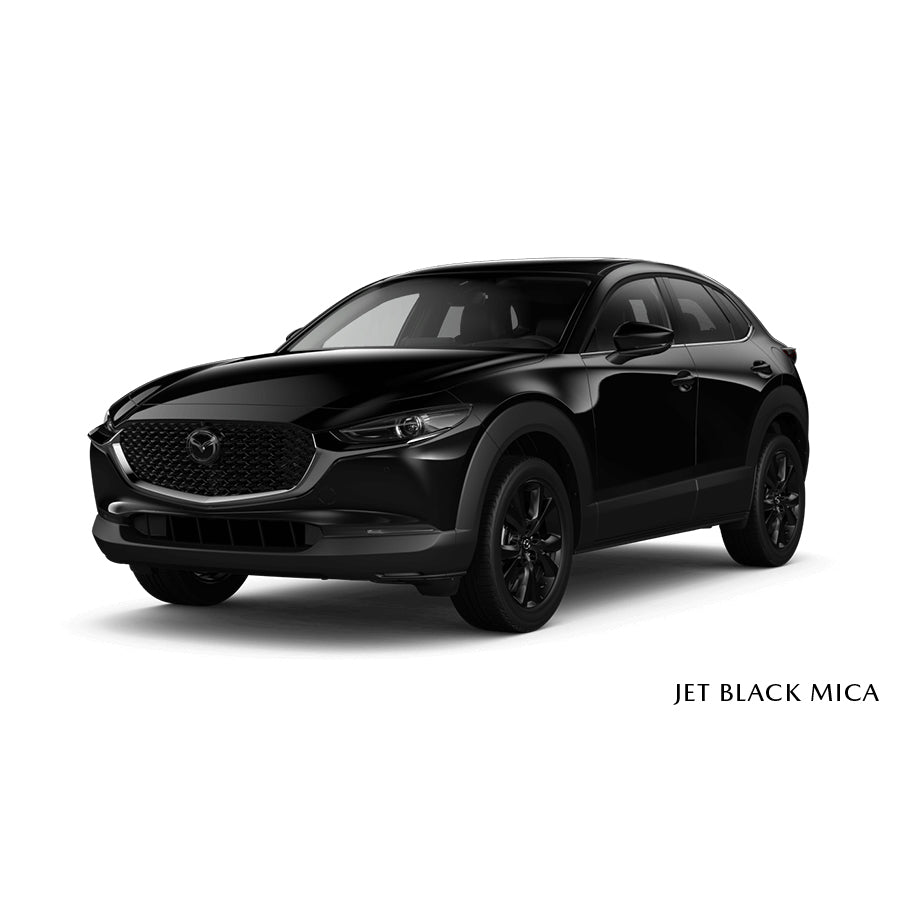 Jet Black Mica (41W) Premium Touch-Up Paint Pen Colour