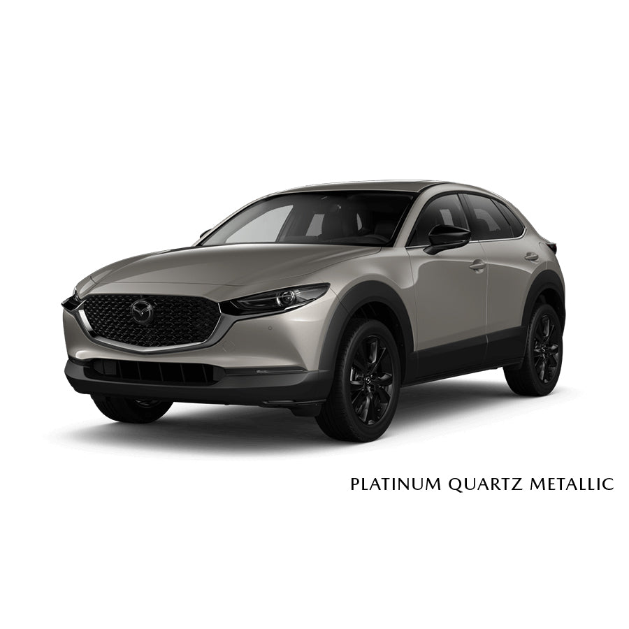 Platinum Quartz Metallic (47S) Premium Touch-Up Paint Pen Colour