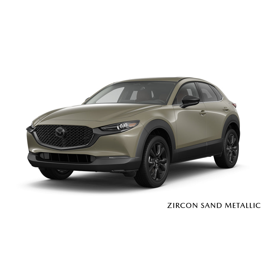 Zircon Sand Metallic (48T) Premium Touch-Up Paint Pen Colour